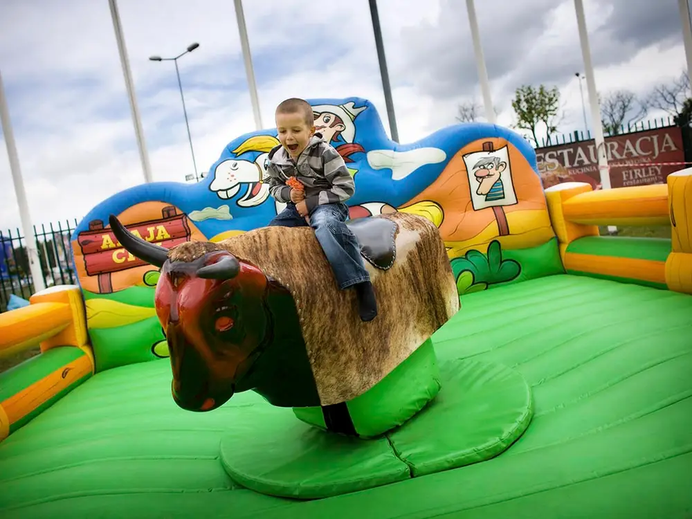 Park Atrakcji Country Alaja - zdjęcie 7 - Organizacja Imprez, Pikników, Festynów