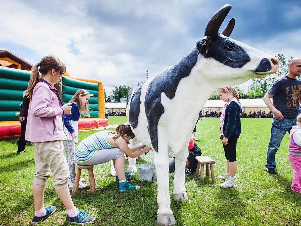 Konkurs dojenia sztucznej krowy - zdjęcie 2 - Organizacja Imprez, Pikników, Festynów