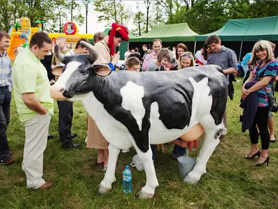 Konkurs dojenia sztucznej krowy - Park Atrakcji Arabski - Organizacja Imprez, Pikników, Festynów