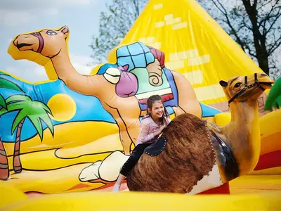 Rodeo Oaza - Park Atrakcji Arabski - Organizacja Imprez, Pikników, Festynów