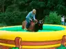 Symulator byka rodeo standard