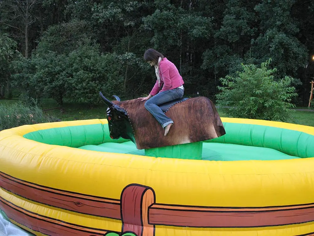 Symulator byka rodeo standard - zdjęcie 4 - Organizacja Imprez, Pikników, Festynów