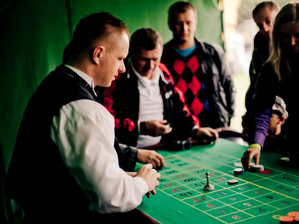 Park Atrakcji Country Zagroda - zdjęcie 5 - Organizacja Imprez, Pikników, Festynów