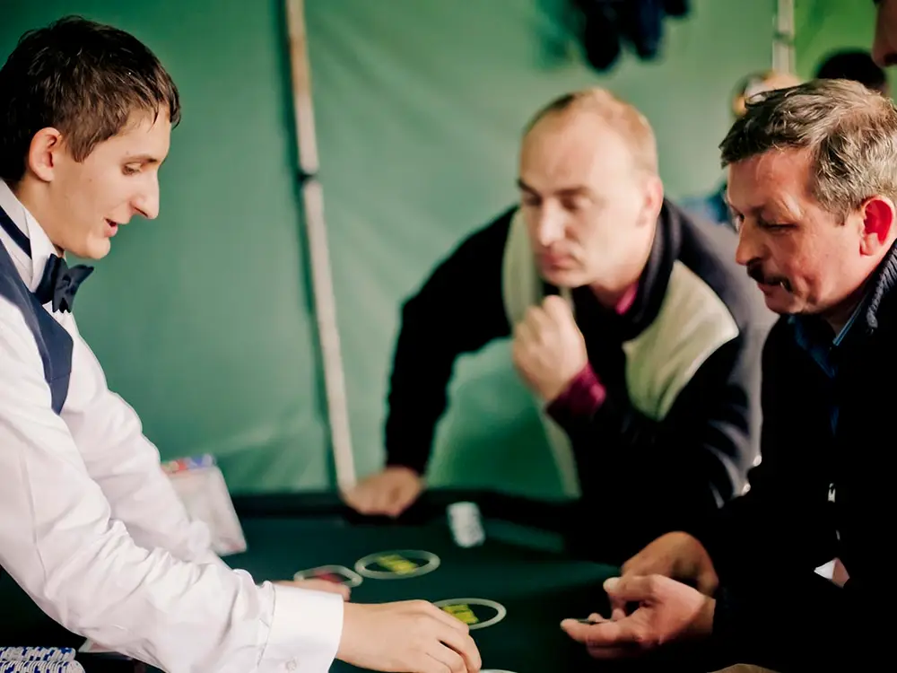 Park Atrakcji Country Zagroda - zdjęcie 3 - Organizacja Imprez, Pikników, Festynów